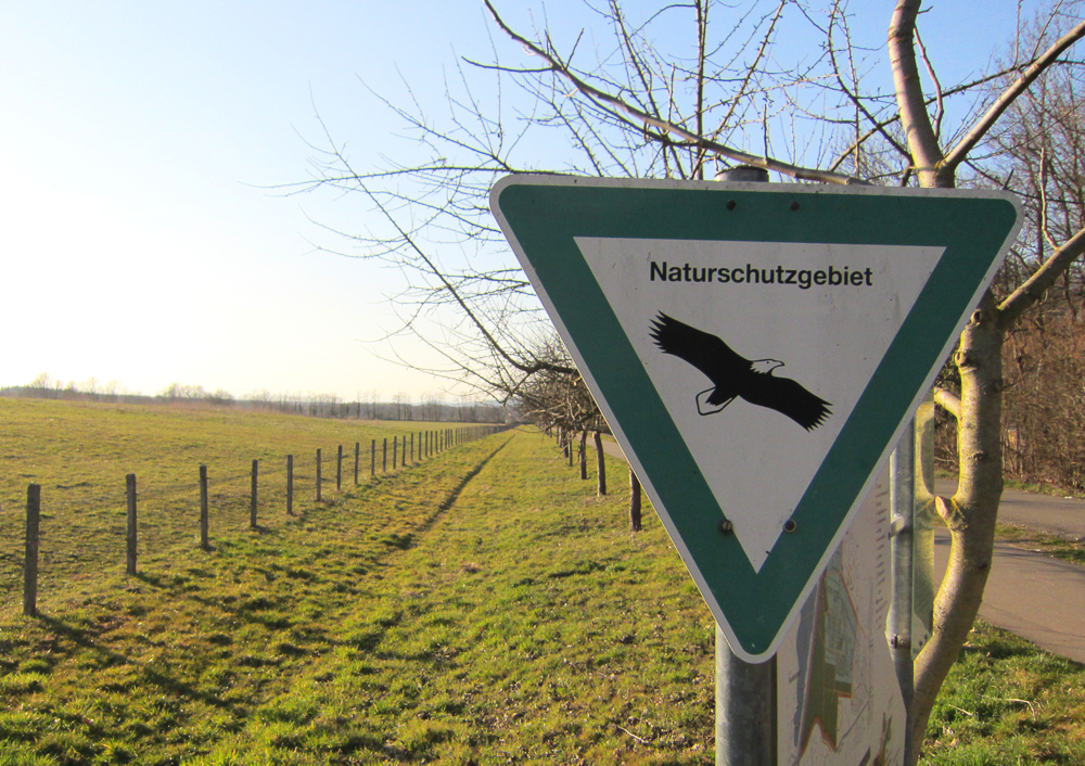 Rieselfeld-West: Der Naturschutz bremst hier die Verwirklichung eines neuen Freiburger Stadtteils aus. Foto: Zurbonsen