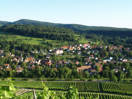 netzwerk südbaden
