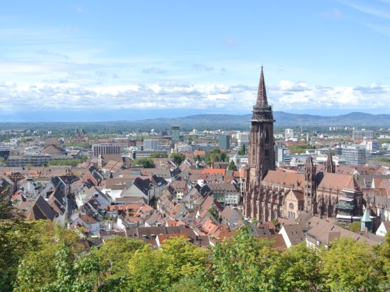 netzwerk südbaden