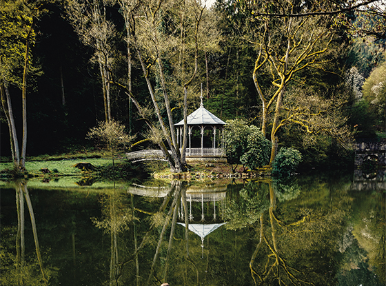 netzwerk südbaden
