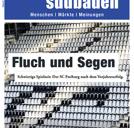 netzwerk südbaden