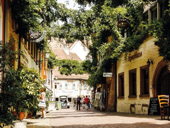 netzwerk südbaden