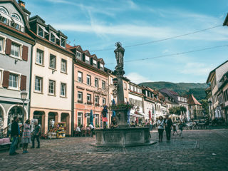 netzwerk südbaden