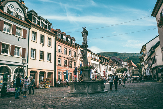netzwerk südbaden
