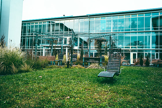 netzwerk südbaden