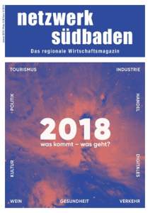 netzwerk südbaden cover