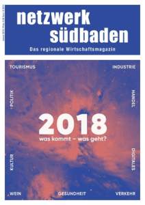 netzwerk südbaden cover