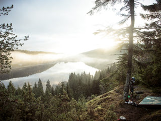 netzwerk südbaden, schwarzwald
