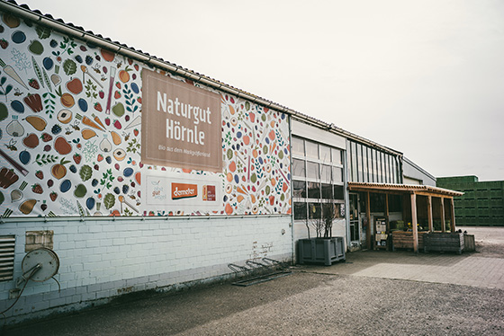 netzwerk südbaden