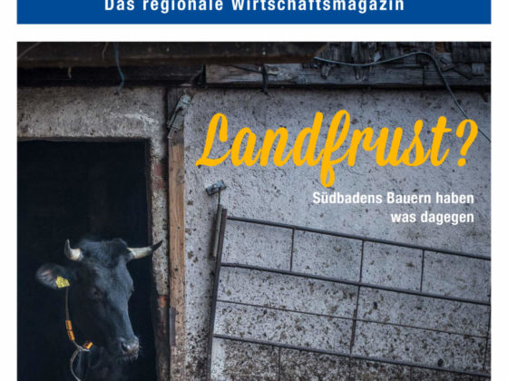 netzwerk südbaden