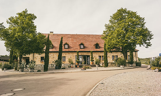 netzwerk südbaden