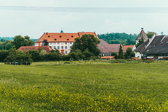 netzwerk südbaden