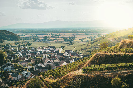 netzwerk südbaden