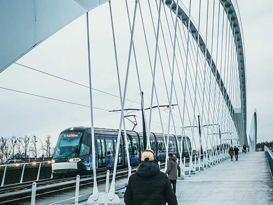 netzwerk südbaden