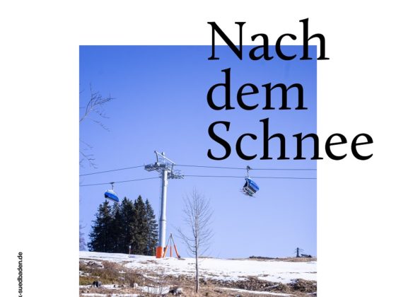 netzwerk südbaden
