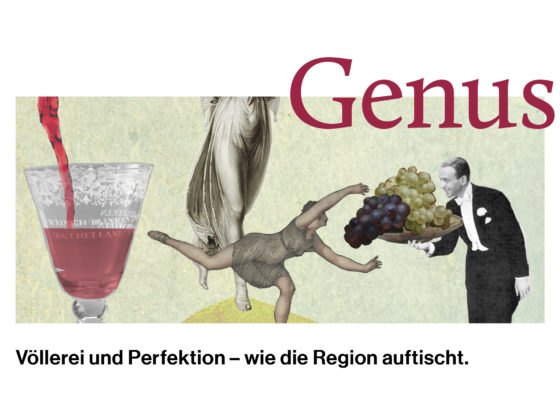netzwerk südbaden