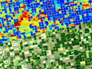 Aus dem Weltall für die Landwirtschaft: Das Freiburger Start-up ConstellR