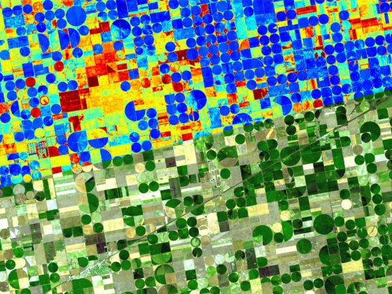 Aus dem Weltall für die Landwirtschaft: Das Freiburger Start-up ConstellR