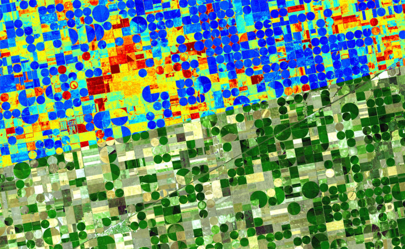 Aus dem Weltall für die Landwirtschaft: Das Freiburger Start-up ConstellR