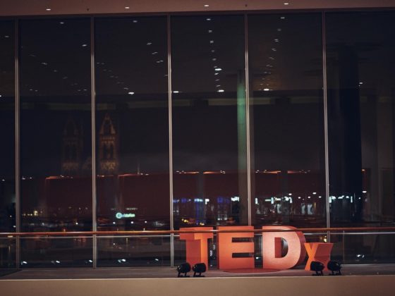 TEDx online Seminare