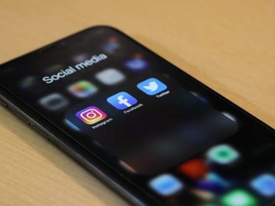 netzwerk südbaden, social media