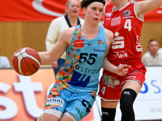 Die Freiburger Eisvögel