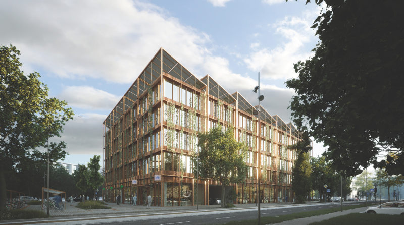 Rendering Falk-Areal