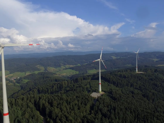 Windrad im Schwarzwald