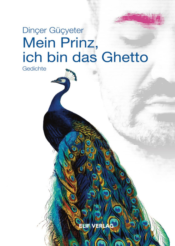 Buchcover: Mein Prinz, ich bin das Ghetto von Dinçer Güçyeter