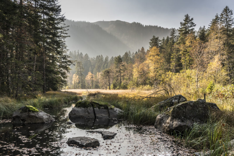 Feldseemoor