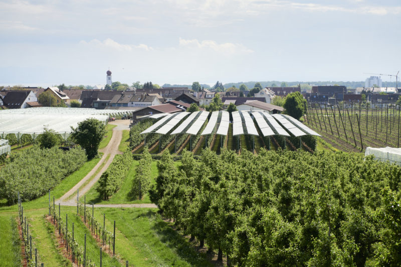 Agri-PV