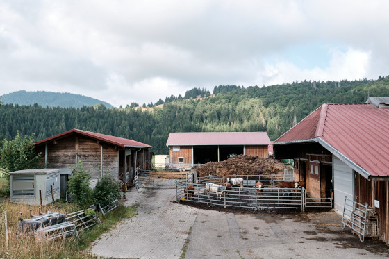 Der Goldbachhof in Bernau