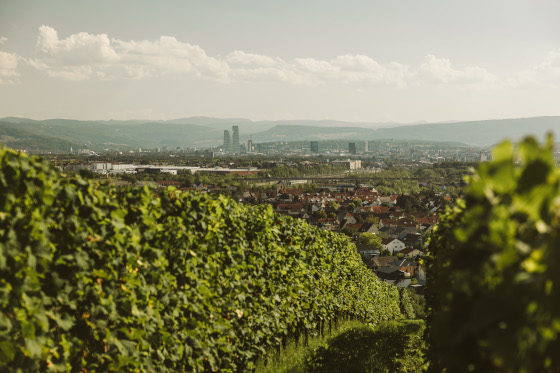 netzwerk südbaden