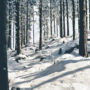 naturnaher Lebensraum für Tiere