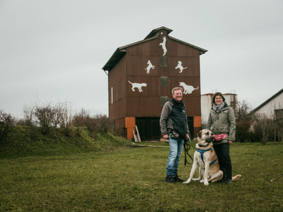 Toms Hundewelt in Riegel