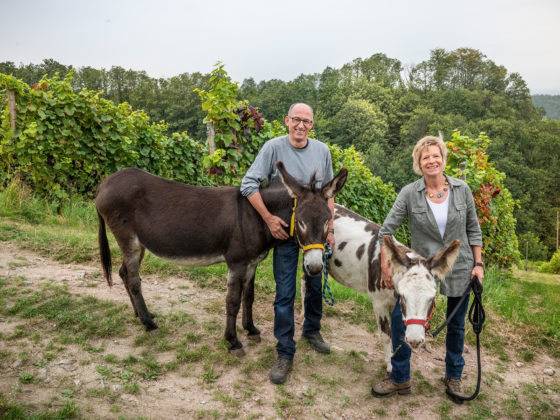 Bettina Mutschler und Rainer Wohlfarth