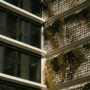 Green City Tower