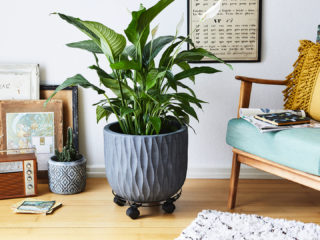 Wagner System in Lahr fertigt Pflanzenroller