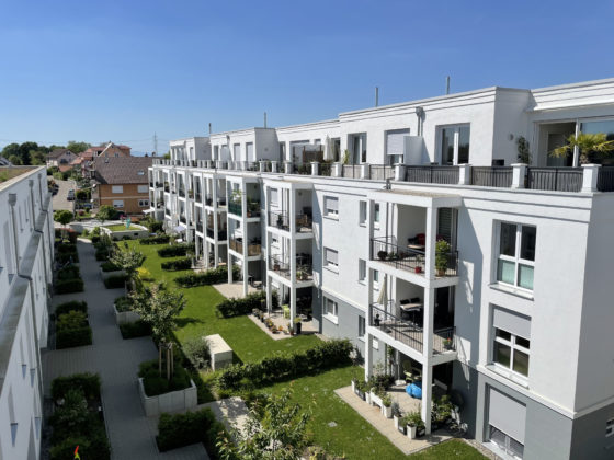 Ziser Immobilien1