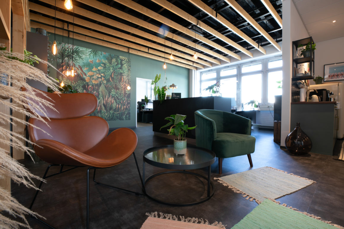 Büro Trium Novem Offenburg