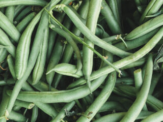 Bohnen