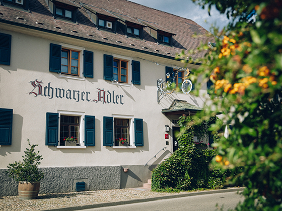 Schwarzer Adler