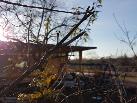 Das Neubaugebiet Kleineschholz vom Pavillon an der Lehener Straße aus. Foto: mae