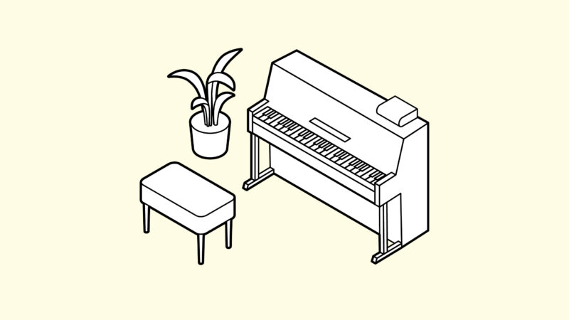 Musikermedizin