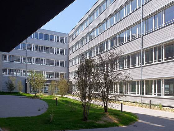 Duerrschnabel