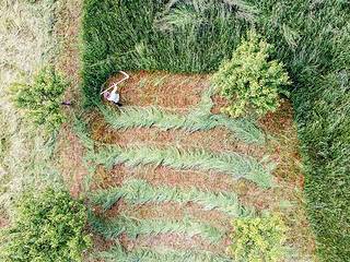 Philipp Köder beim Mähen mit der Handsense