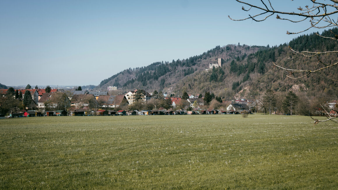 Blick auf Waldkirch