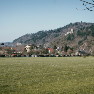 Blick auf Waldkirch