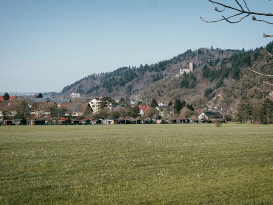 Blick auf Waldkirch