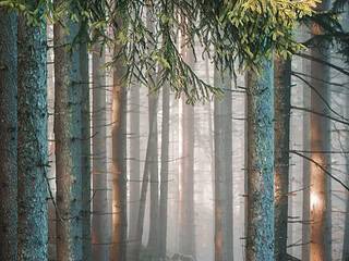 Heimat verbinden viele mit Natur.